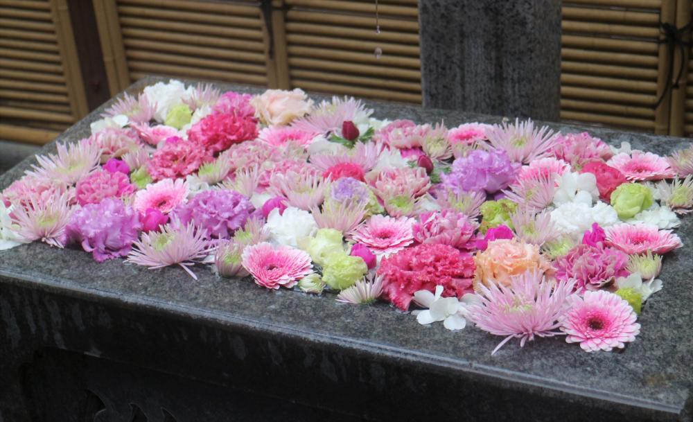 深川花手水 2023春