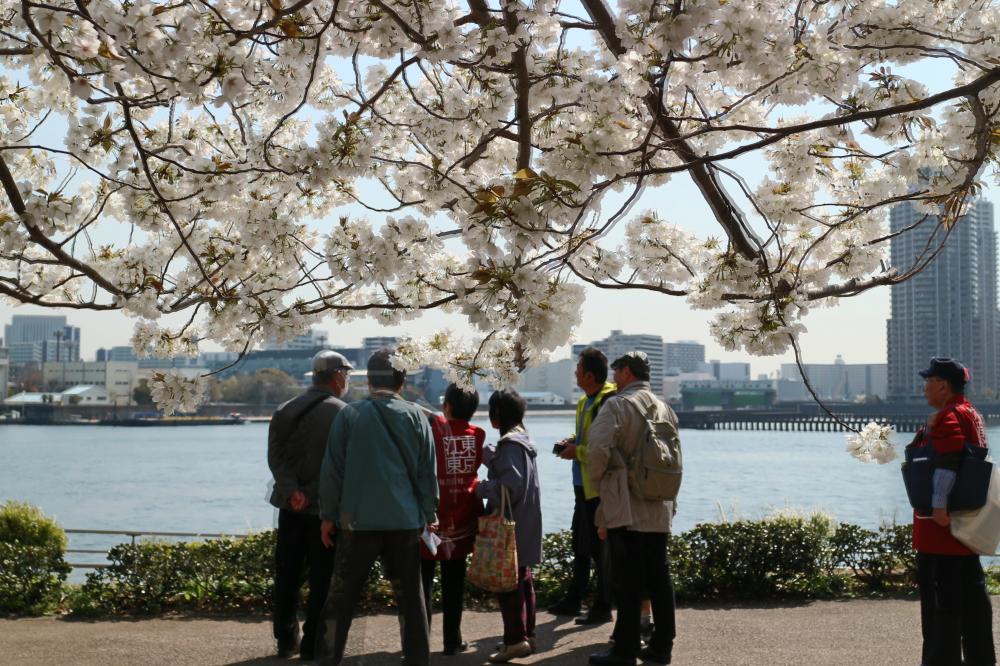 こうとうまちあるきファンクラブ会員募集中